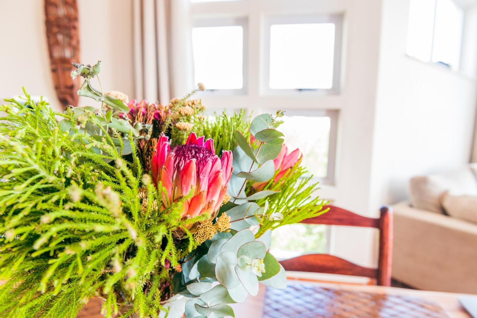 Apartment Stunning Table Mountain And Harbor View